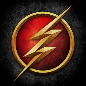 logo the flash