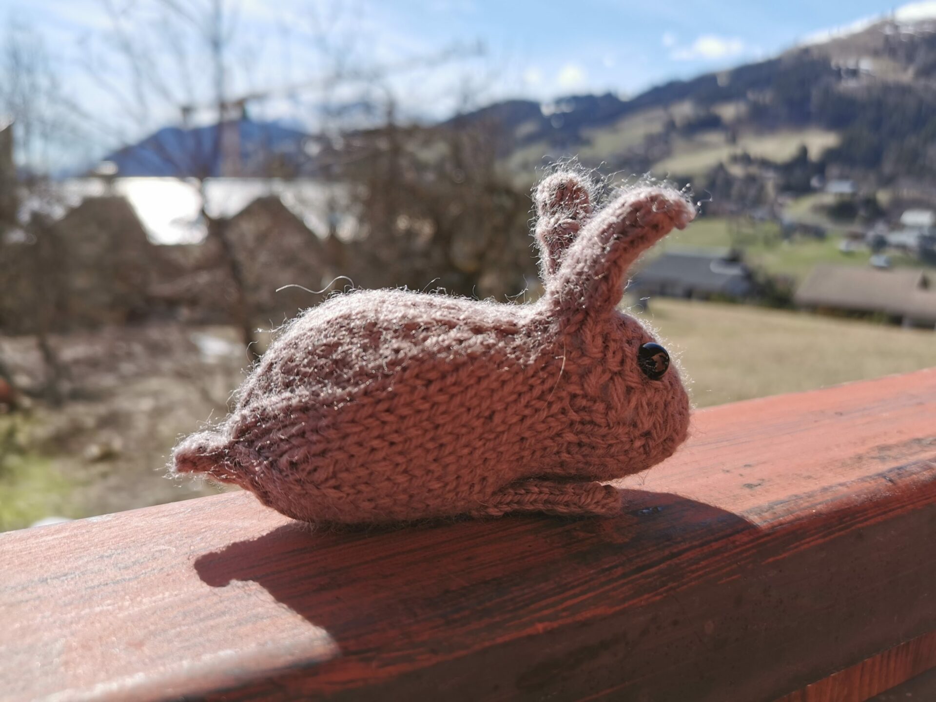 Lapin au tricot devant les montagnes