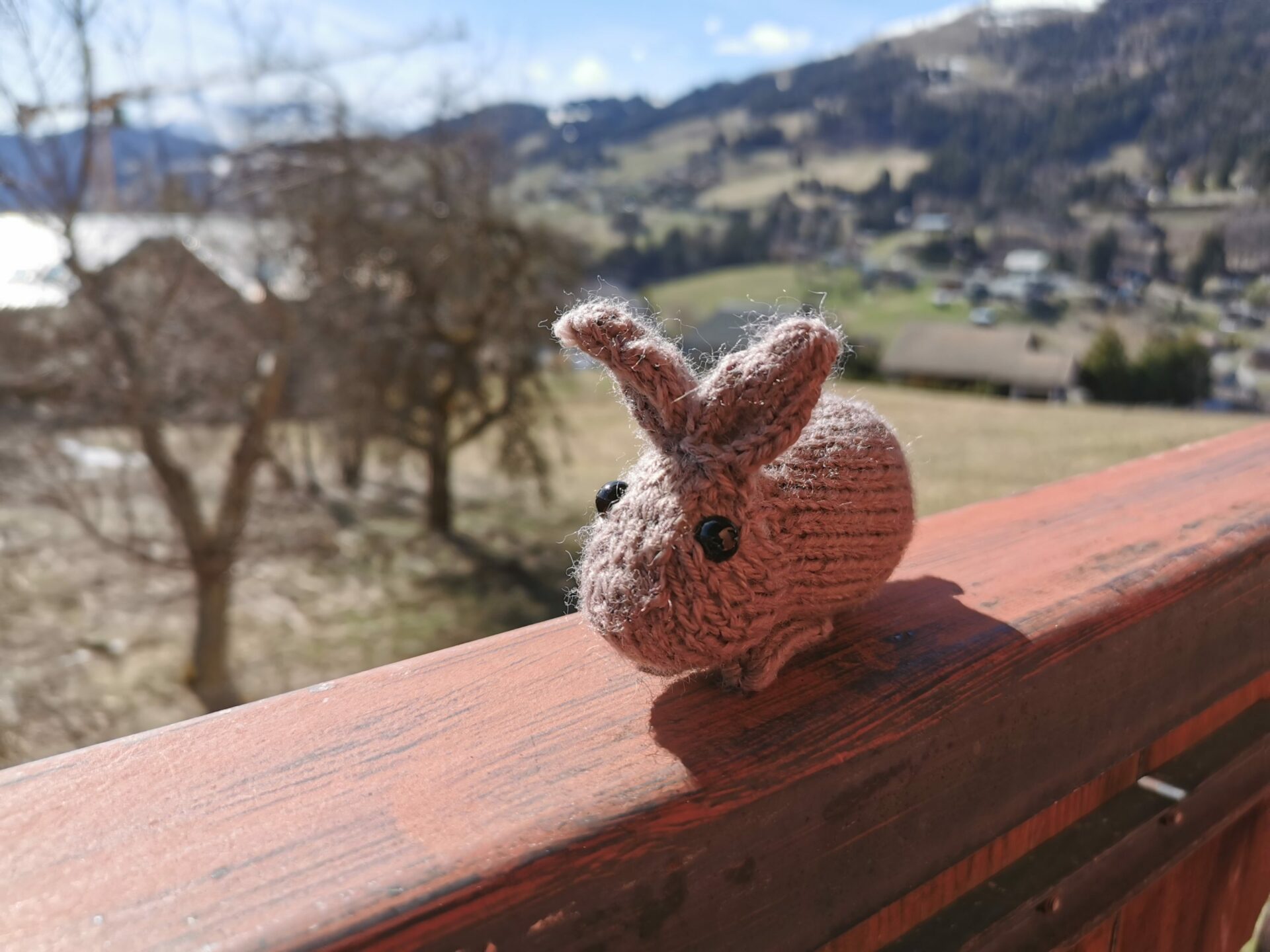 Lapin tricot